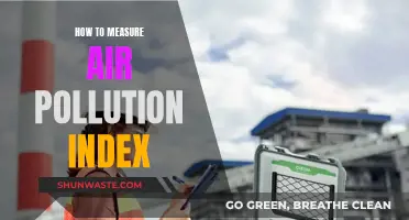 Air Pollution Index: Measuring the Air Quality