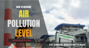 Measuring Air Pollution: Practical Steps to Assess Air Quality