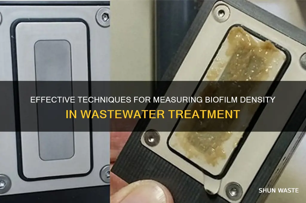 how to measure biofilm density in waste water