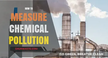 Measuring Chemical Pollution: Strategies and Solutions