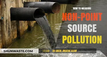 Measuring Non-Point Source Pollution: Strategies and Challenges