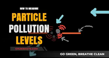 Measuring Particle Pollution: Monitoring Air Quality Levels