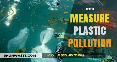 Measuring Plastic Pollution: Strategies for Action
