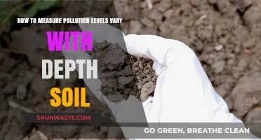 Measuring Pollution: Soil Depth and Contamination Levels