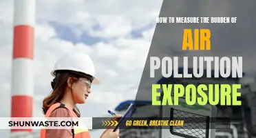Air Pollution's Burden: Measuring Exposure's Impact