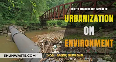 Urbanization's Environmental Footprint: Measuring Impact and Sustainable Solutions
