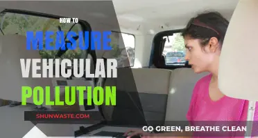Measuring Vehicular Pollution: Strategies and Solutions