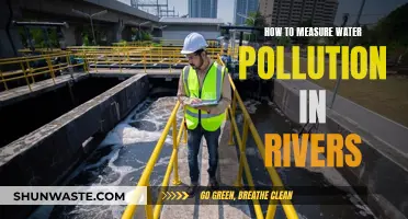 Unveiling Water Quality: A Guide to River Pollution Measurement