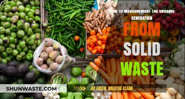 Measuring Organic Generation from Solid Waste: A Comprehensive Guide