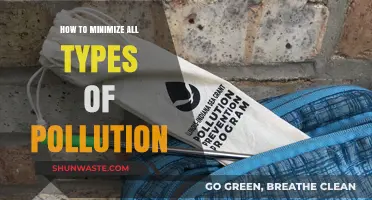 Minimizing Pollution: Strategies for a Cleaner World