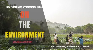 Sustainable Practices to Reduce Deforestation's Environmental Impact Effectively