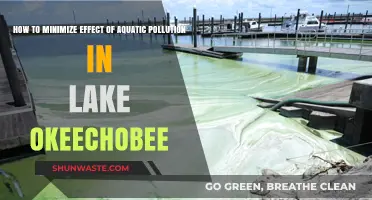 Protecting Lake Okeechobee from Aquatic Pollution's Harmful Effects