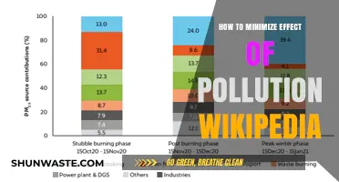 Minimizing Pollution's Impact: Wiki-Style Guide