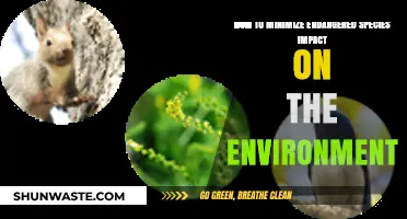 Protecting Biodiversity: Strategies to Reduce Endangered Species' Environmental Impact