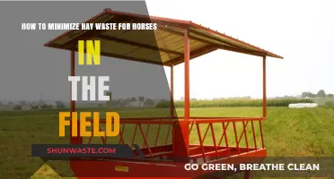 Effective Strategies to Reduce Hay Waste for Pastured Horses