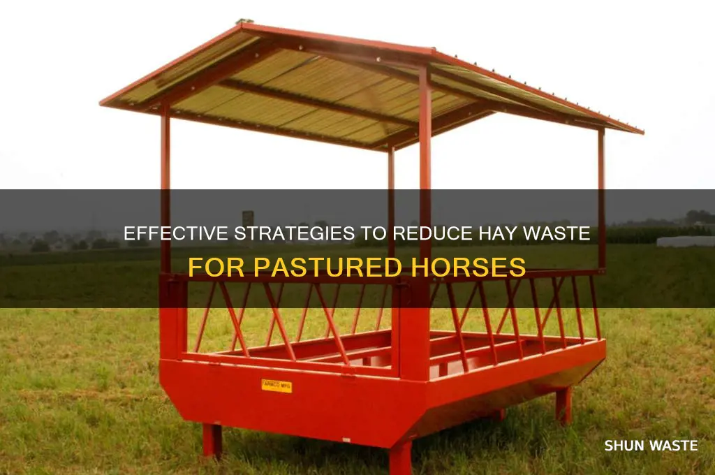 how to minimize hay waste for horses in the field