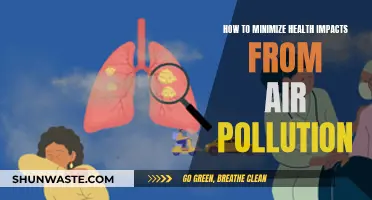 Protecting Our Health from Air Pollution's Impact