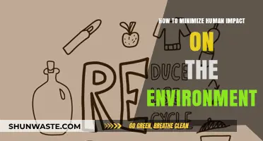 Sustainable Living: Practical Steps to Reduce Your Environmental Footprint