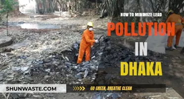 Minimizing Lead Pollution in Dhaka: Strategies for a Cleaner City