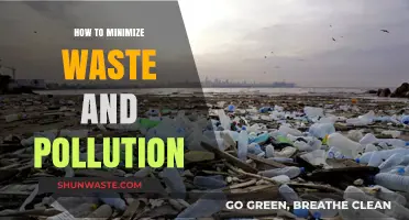 Green Living: Reducing Waste and Pollution