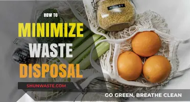 Sustainable Living: Effective Strategies to Minimize Waste Disposal