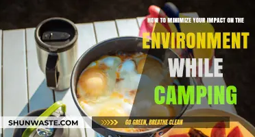 Eco-Friendly Camping Tips: Minimize Your Environmental Impact Outdoors