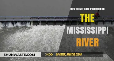 Protecting Mississippi: Strategies to Reduce Water Pollution