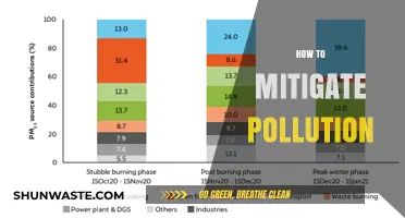 Green Revolution: Strategies to Combat Pollution