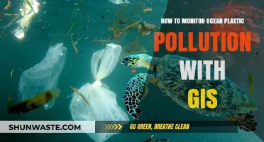 Ocean Plastic Pollution: GIS Monitoring and Mapping Solutions