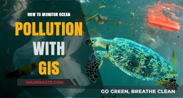 Ocean Pollution Surveillance: GIS for Marine Ecosystems