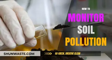 Monitoring Soil Pollution: Methods and Techniques