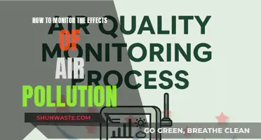 Monitoring Air Pollution: Tracking Its Impact on Our Health