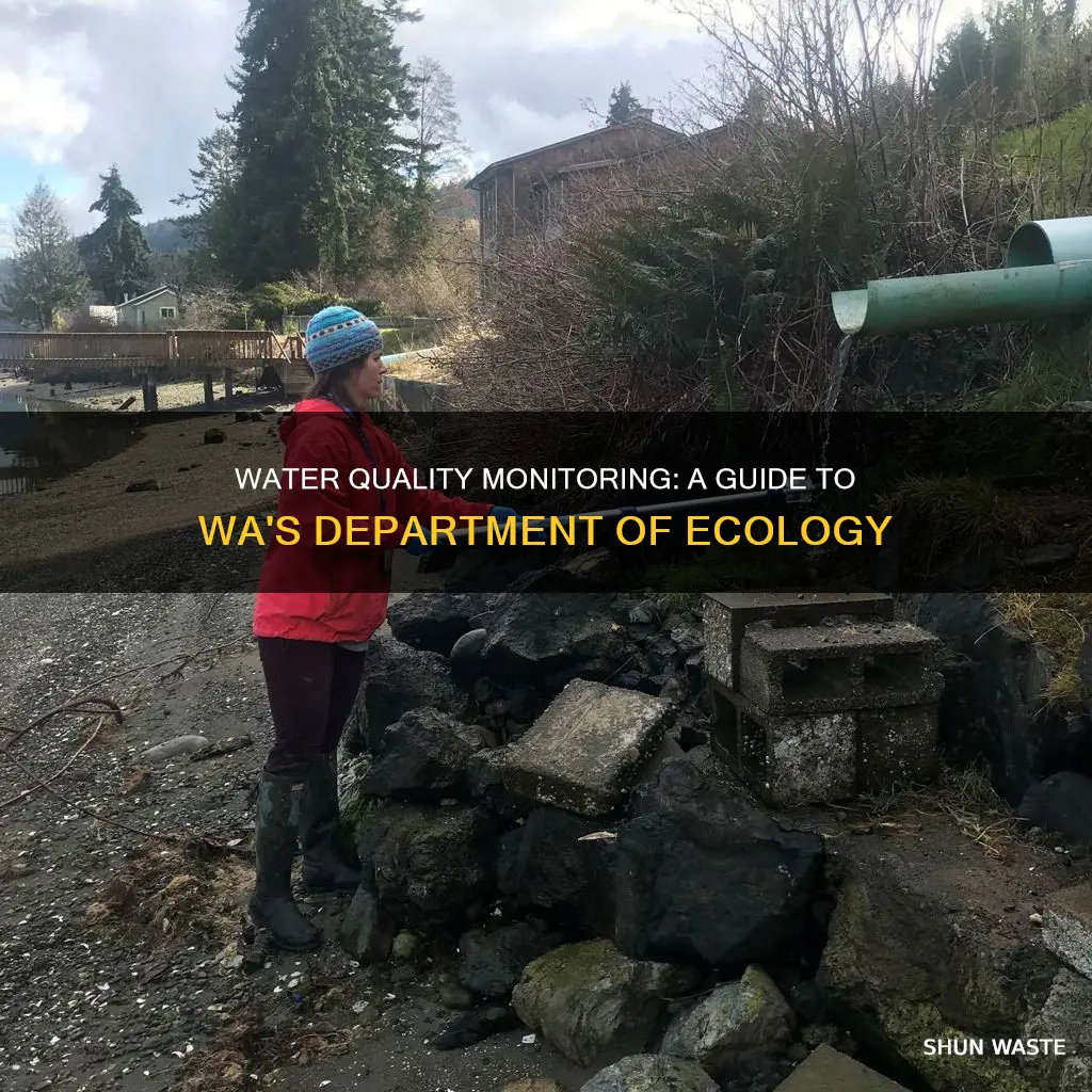 how to monitor water pollution wa state department of ecology