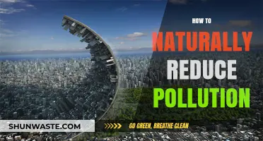 Green Solutions: Reduce Pollution, Embrace Nature
