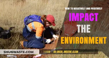 Environmental Impact: Actions That Harm and Heal Our Planet