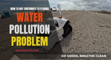 Protect Florida's Waters: Simple Steps to Reduce Pollution