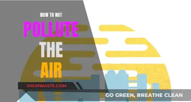 Air Pollution: Simple Steps for Cleaner Air