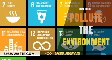 Protecting Our Planet: Simple Steps to Reduce Environmental Pollution