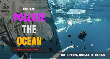 Protect Our Oceans: Simple Steps to Reduce Pollution