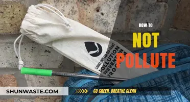 Live Green: Simple Steps to Reduce Pollution