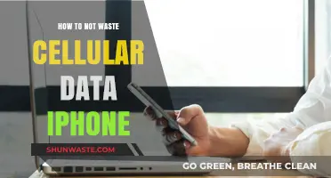Maximize iPhone Data Efficiency: Tips to Avoid Cellular Waste
