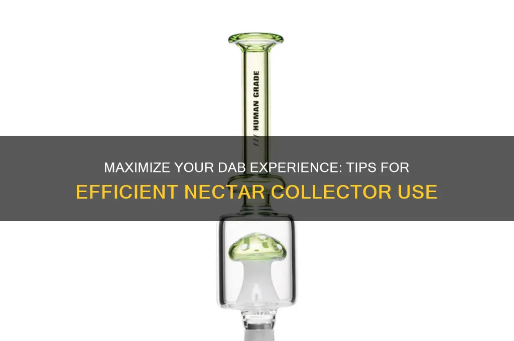 how to not waste dab with nectar collector