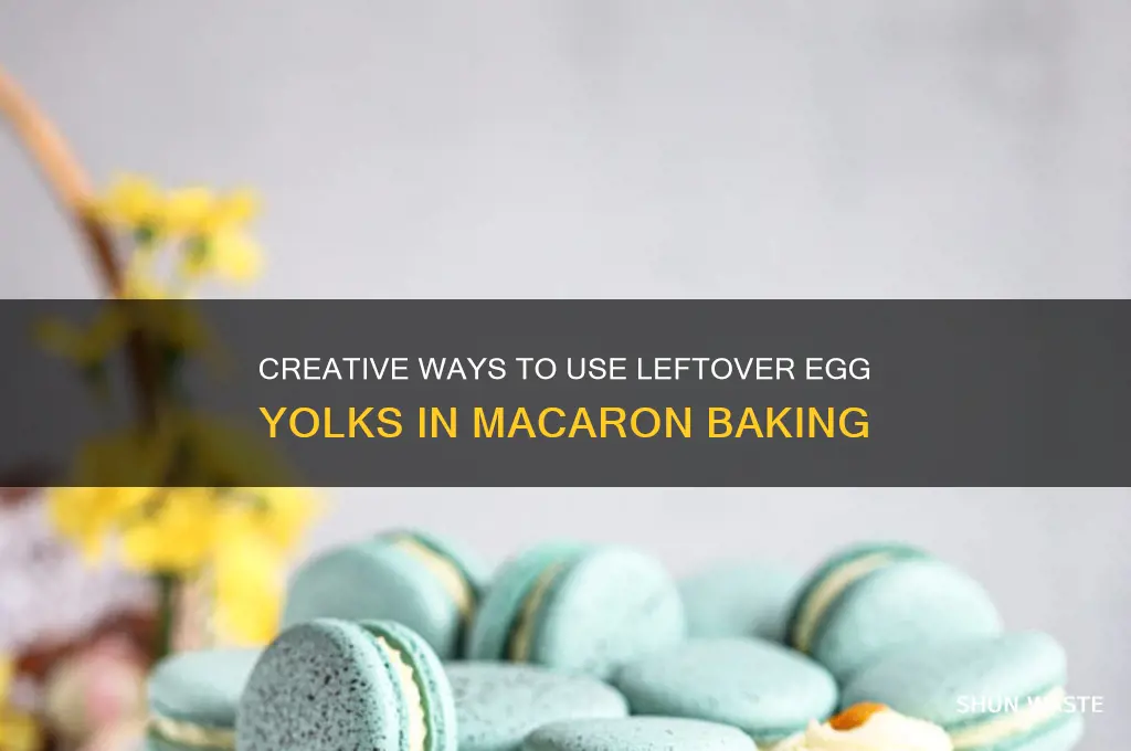 how to not waste egg yolks macarons