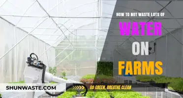Smart Farming Techniques to Conserve Water and Boost Crop Yields
