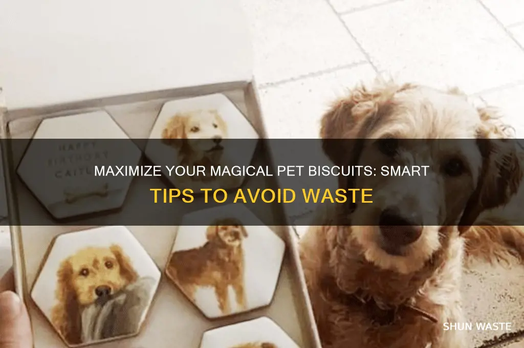 how to not waste magical pet biscuits