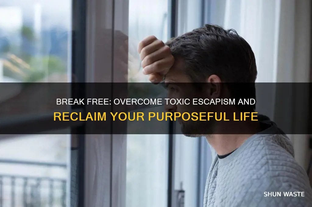 how to not waste your life 4 toxic escapism habits