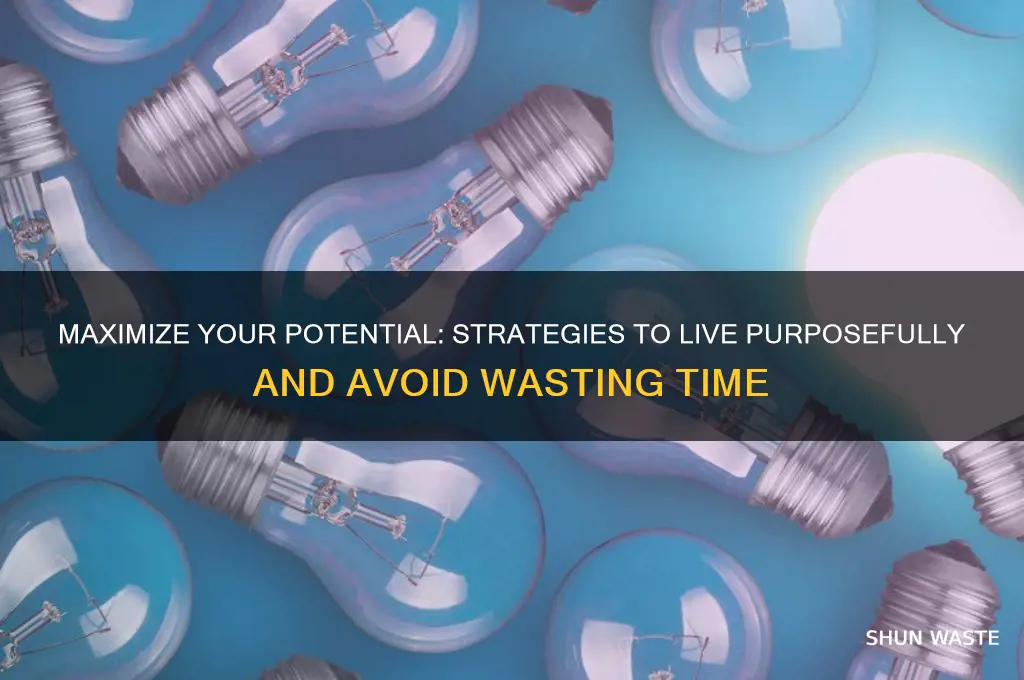 how to not waste your life away