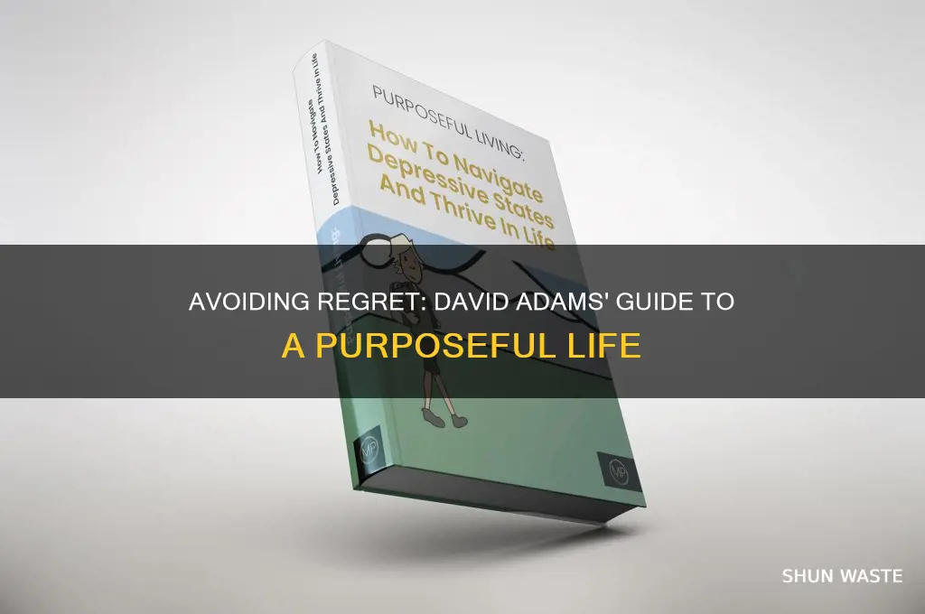 how to not waste your life david adams