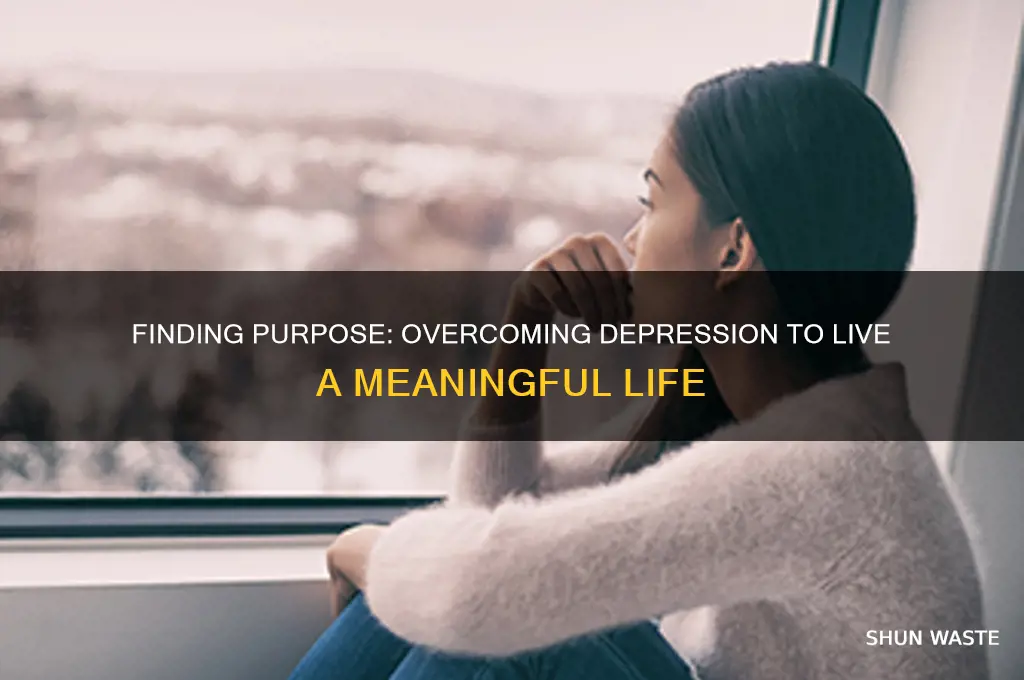 how to not waste your life when youre depressed
