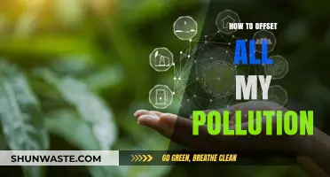 Neutralizing Pollution: Your Personal Carbon Offset Guide